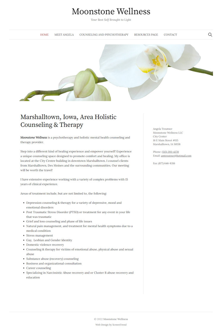 screencapture moonstone wellnessllc Moonstone Wellness website screenshot