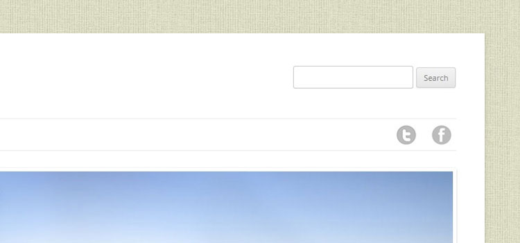 Social media icons in navigation menu